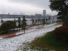 夢の島公園サイクリングロード