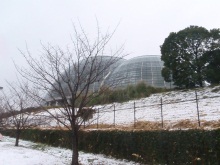 夢の島熱帯植物園