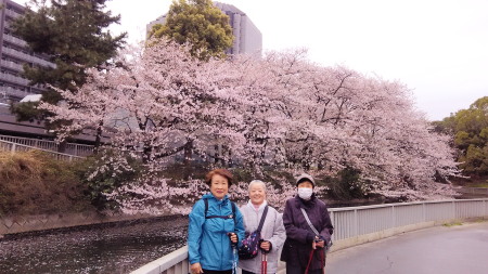 仙台堀川親水公園